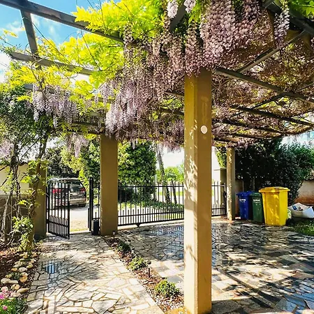 2 Bedroom Pet Friendly In Holiday home Banjole